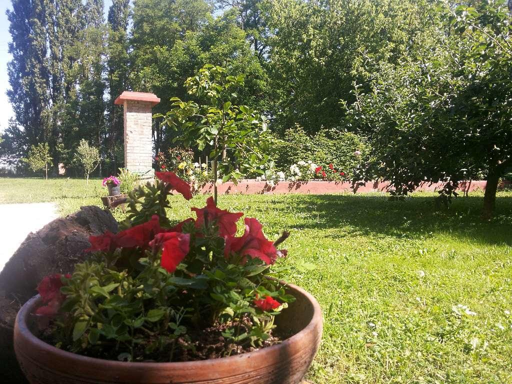 Alloggio Agrituristico Dodici-Apostoli Casumaro Buitenkant foto